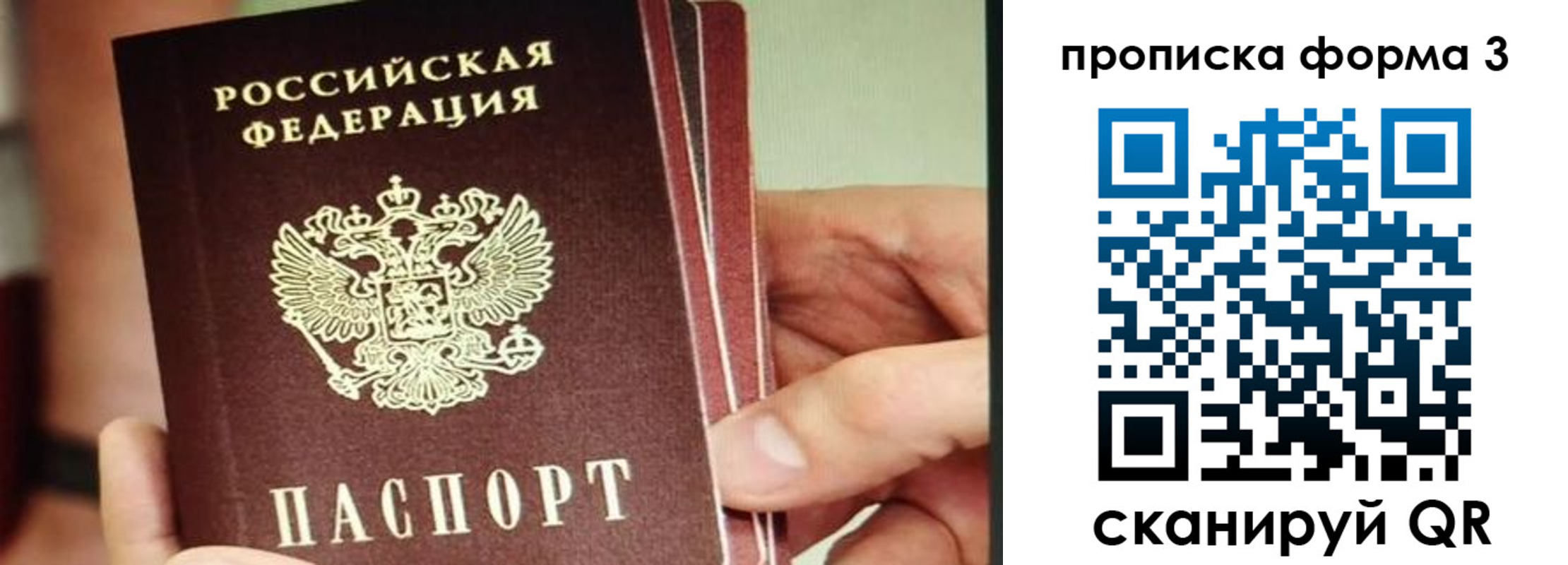 прописка законно в Михайловке